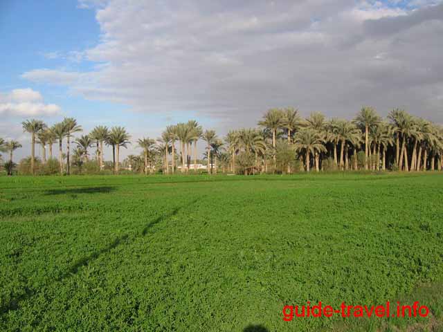 По дороге в Луксор