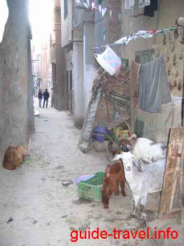 Каирская улица