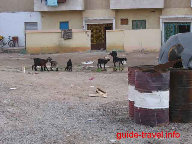 Путеводитель - на улицах старого города