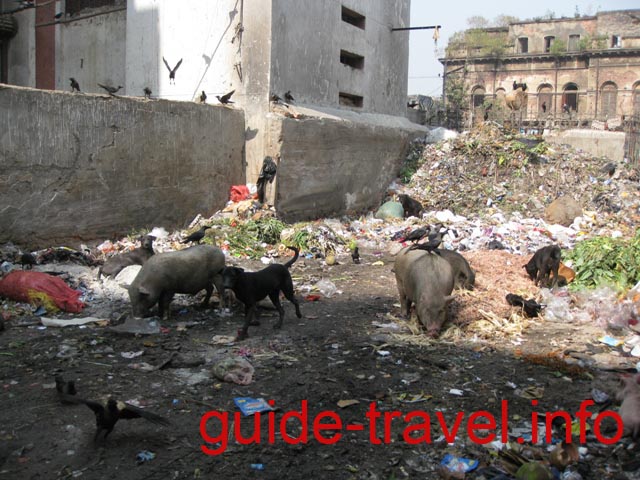 Индия фото - Безрадостная перспектива