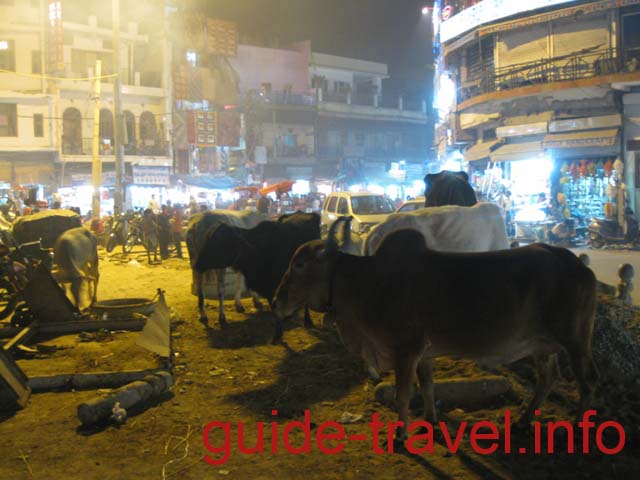 Индия фото - На Мэйн-Базар