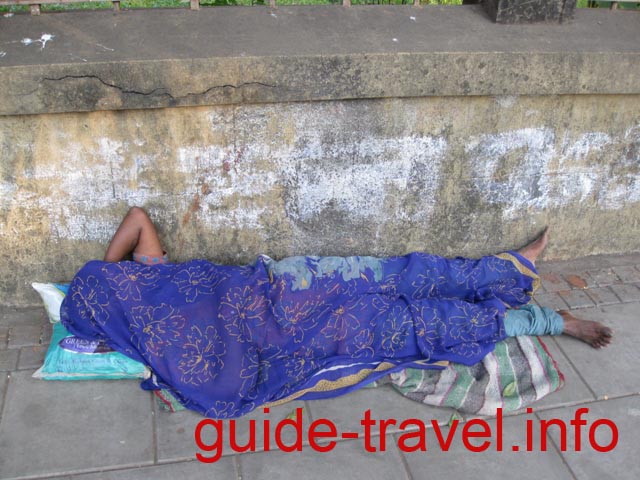 Индия фото - Собратья по несчастью