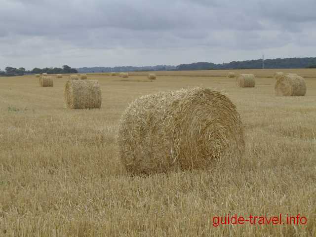 Франция фото - французские поля