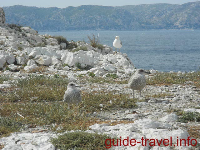 Птичий заповедник