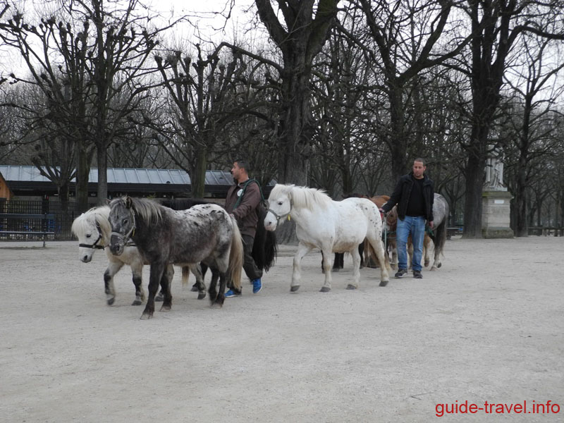 Париж 2017 - Люксембургский сад
