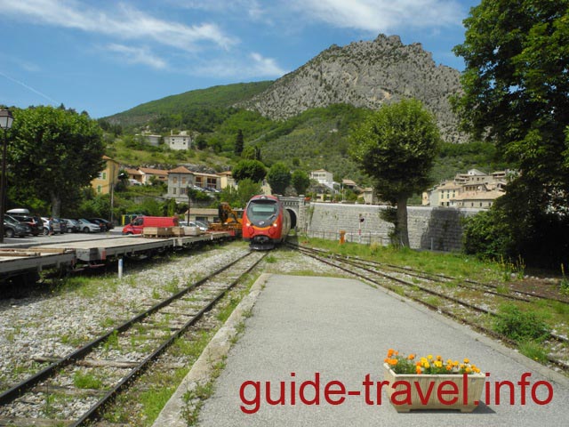 Поезд сосновых шишек